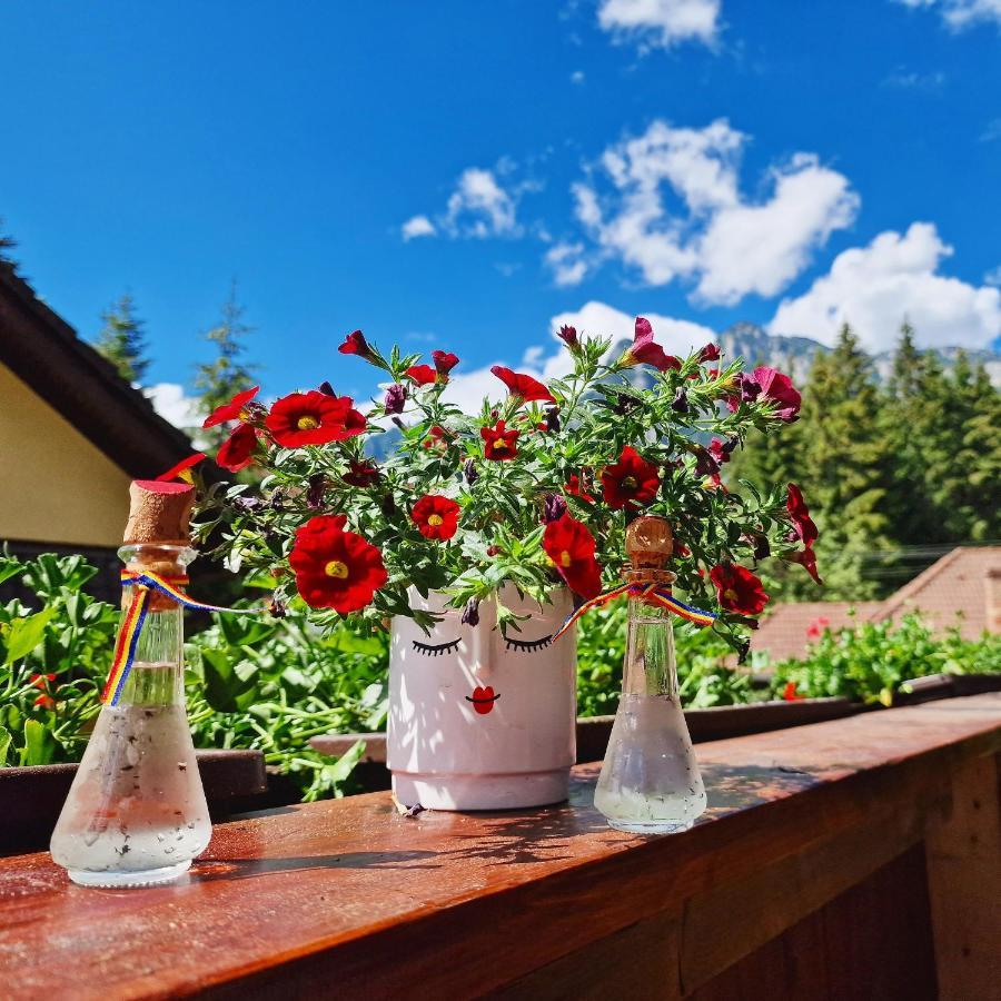 Apartment Tirol (adults Only) Busteni