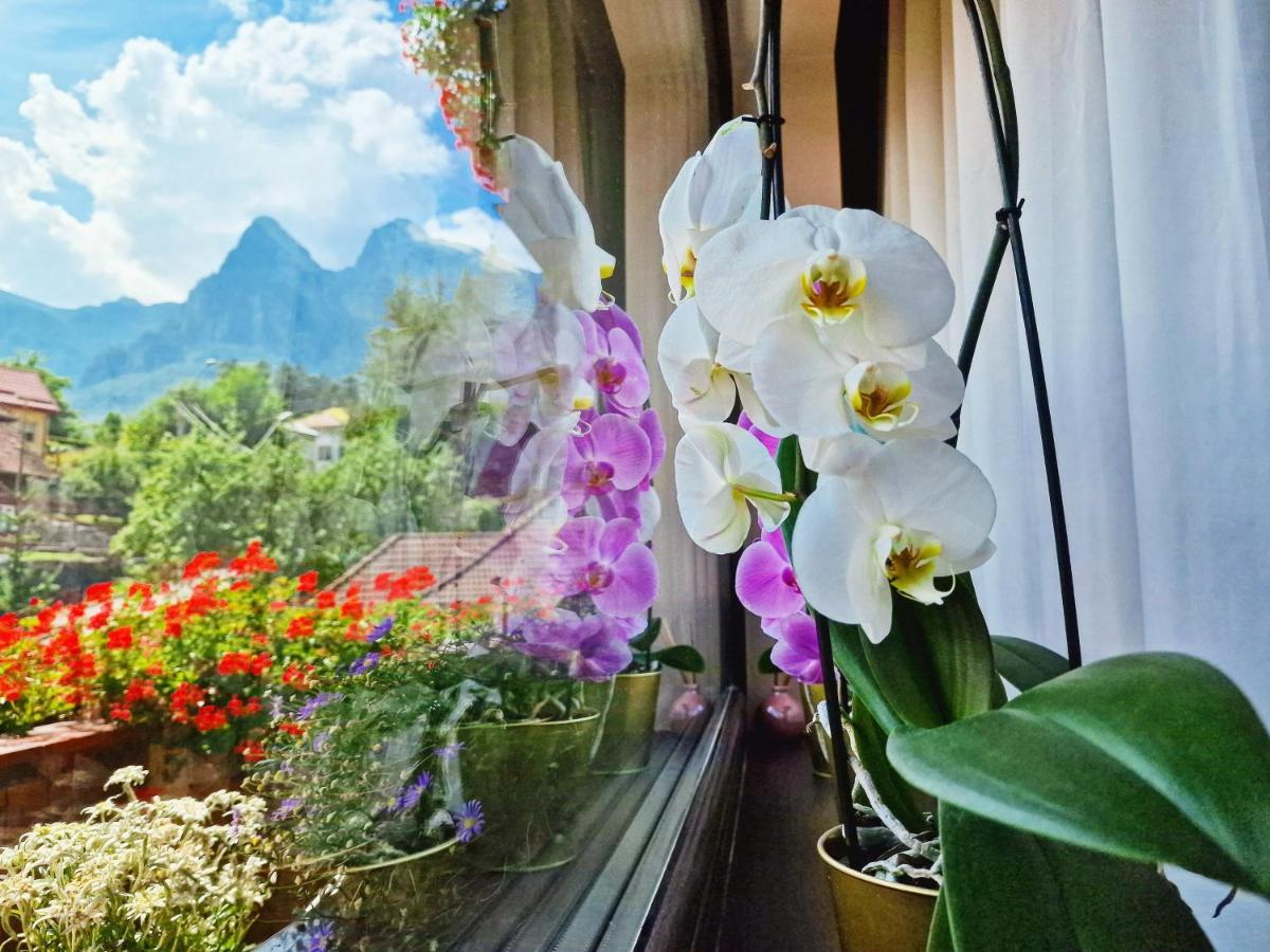 Tirol (adults Only)